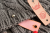 IMG_2610.png