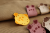 IMG_3011.png