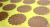 IMG_0062.png